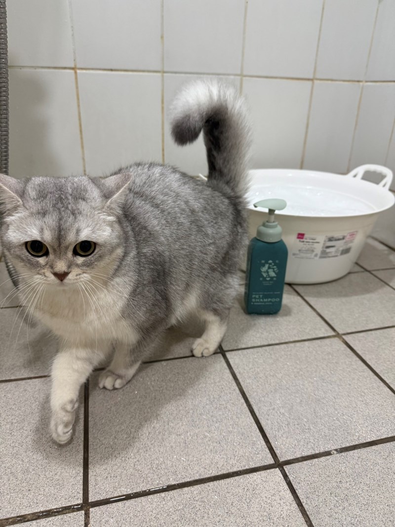 女人知己試用大隊,口碑行銷,部落客行銷,Goodmofamily歸毛家族 寵物肌膚救星組,歸毛家族 寵物肌膚救星,舒敏保濕洗毛乳,護膚噴液,精萃營養霜,博士30年生技專業,給足皮膚營養保護力,無抗生素 無類固醇,神經醯胺,19種綜合胺基酸,榮獲SNQ國家認證,上萬毛爸媽見證,3週幫助皮膚健康,NO.1寵物肌膚口碑霸主,寵物第一護膚領導品牌